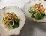 新玉ねぎと菜の花・新牛蒡の春サラダ作り方9写真