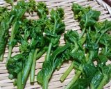 農園レシピ・菜の花からし和え作り方3写真