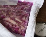 乳酸発酵させて作る紫白菜のザワークラウト作り方6写真