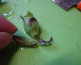 最強のチタン鍋でふき味噌作り方6写真