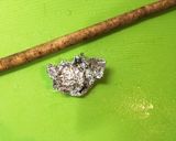 ごぼうの甘辛煮作り方1写真