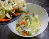 厚揚げでウマウマ！回鍋肉作り方5写真