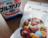 ヨーグルトアート・心待ちの春作り方1写真