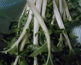 広茎京菜と厚揚げの炒め煮作り方1写真