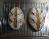 パインとキウイのハードパン作り方15写真