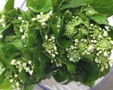 花わさび・葉わさびの醤油漬け作り方1写真