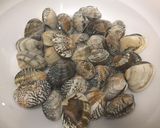 【基本】浅利の砂抜き作り方1写真