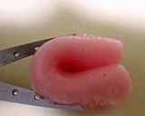 ひな祭りに♡三色団子でひし餅と手鞠餅作り方10写真