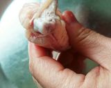*手羽先の骨の抜き方*作り方7写真