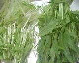 菊池隆シェフの「野菜シャキシャキ焼そば」作り方1写真