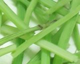 あいこの味噌漬け(山菜)作り方2写真