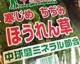 寒じめちぢみほうれん草スープ(^.^)作り方3写真