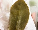 【道明寺粉不要】春感じる桜餅作り方8写真