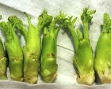 たらの芽の豚肉巻き作り方1写真