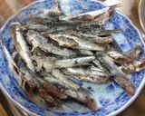 ホウタレ（カタクチイワシ）の天ぷら作り方3写真