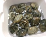 出汁不要で美味しい「あさりの味噌汁」作り方7写真