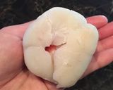 意外と簡単！いちご大福作り方5写真
