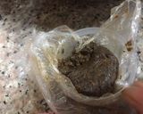 ミャンマー風レモンサラダ作り方5写真