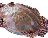 ワタリガニと卵のカレー炒め作り方1写真