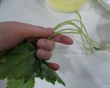 ふんわり*海老のすり身風お吸い物作り方2写真