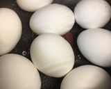 卵大量消費に！煮卵作り方1写真