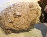 こね不要！混ぜるだけ！鍋焼きパン作り方9写真