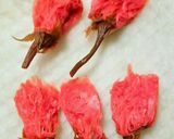 桜と白いチョコのポンディケージョ風作り方1写真