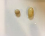 乾燥大豆のゆで方・ひたし大豆・保存方法作り方4写真