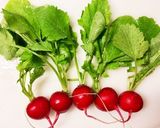 ミニラディッシュのマリネ作り方1写真