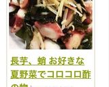 長芋、お好きな海鮮夏野菜でコロコロ酢の物作り方14写真