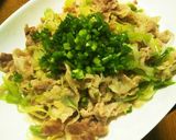 豚肉ネギ炒め作り方4写真