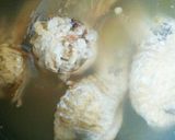 ＊サムゲタン～本格派～＊作り方5写真