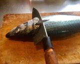 鯖の三枚下ろし作り方3写真