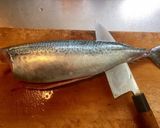 鯖の三枚下ろし作り方8写真