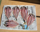 おいしいアジの干物をつくろう!!作り方3写真