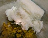 高菜ごま油おにぎり作り方1写真