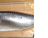 簡単しめさばの酢の物☆作り方2写真