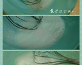 冬の優しいメレンゲ焼き*メレンゲのコツも作り方6写真