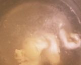 簡単作りおき2品☆しっとりハムと皮ポン作り方5写真