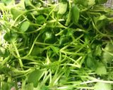 もやしとつまみ菜のナムル　作り方4写真