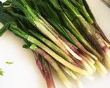 包み方色々 羽根付き餃子 行者にんにく作り方16写真
