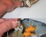 ワタリガニのメス食べ易いさばき方と食べ方作り方3写真
