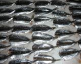 自分で作るイワシの味醂干し作り方1写真