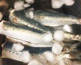 まるごと鰯の酢煮作り方3写真