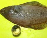 簡単♪味噌香るカレイのグリル焼き作り方1写真