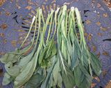 ばあばの簡単干し野菜　小松菜作り方1写真