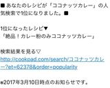 材料これだけ 簡単絶品 ココナッツカレー作り方5写真