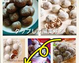 材料4つ✨さくほろスノーボール ココア作り方8写真