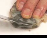 本格えびマヨwithほくほくじゃがいも♪作り方1写真