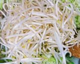 揚げない簡単❗ キャベツともやしの春巻き作り方3写真